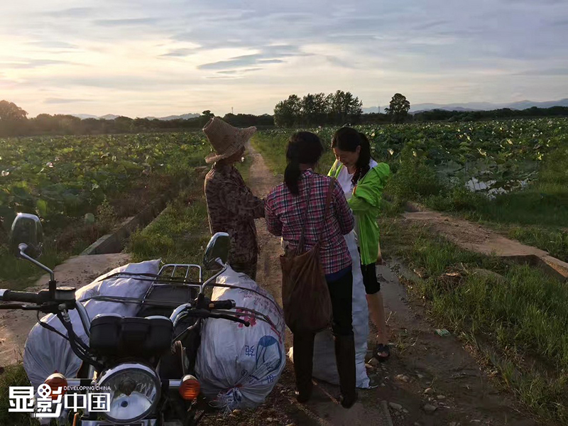 Rao Chunhong (derecha) conversa con agricultores en los campos de loto. [Foto / Xinhua]