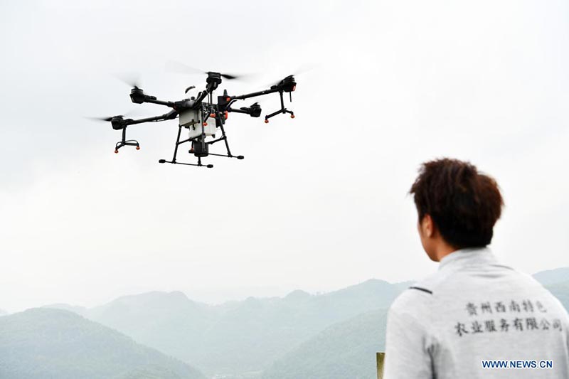 Un técnico demuestra el uso de un dron fitosanitario en Luwo, Xifeng, provincia de Guizhou. 