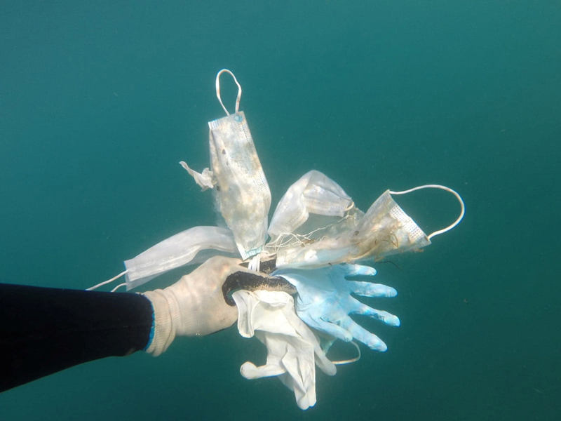 Científicos chinos identifican comunidad bacteriana marina capaz de degradar residuos plásticos