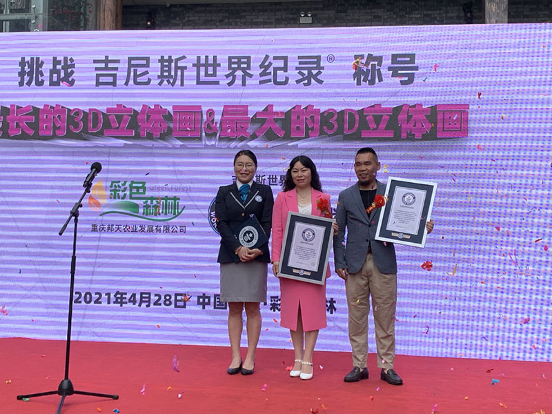La organización Guinness reconoce el arte interactivo de Chongqing