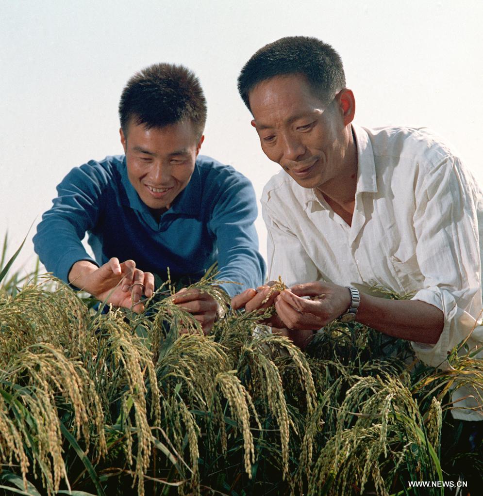 Fallece a los 91 años científico chino Yuan Longping, "padre del arroz híbrido"