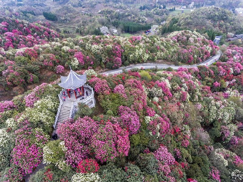 Entorno natural en la ciudad de Bijie, provincia de Guizhou, el 21 de marzo de 2021. Foto: Luo Dafu / Pueblo en Línea