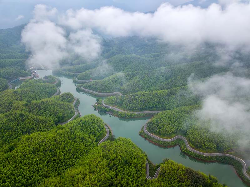 El Lago Zhuhai irradia en medio de un bosque de bambú. [Foto: Wang Zhongshu/ chinadaily.com.cn]