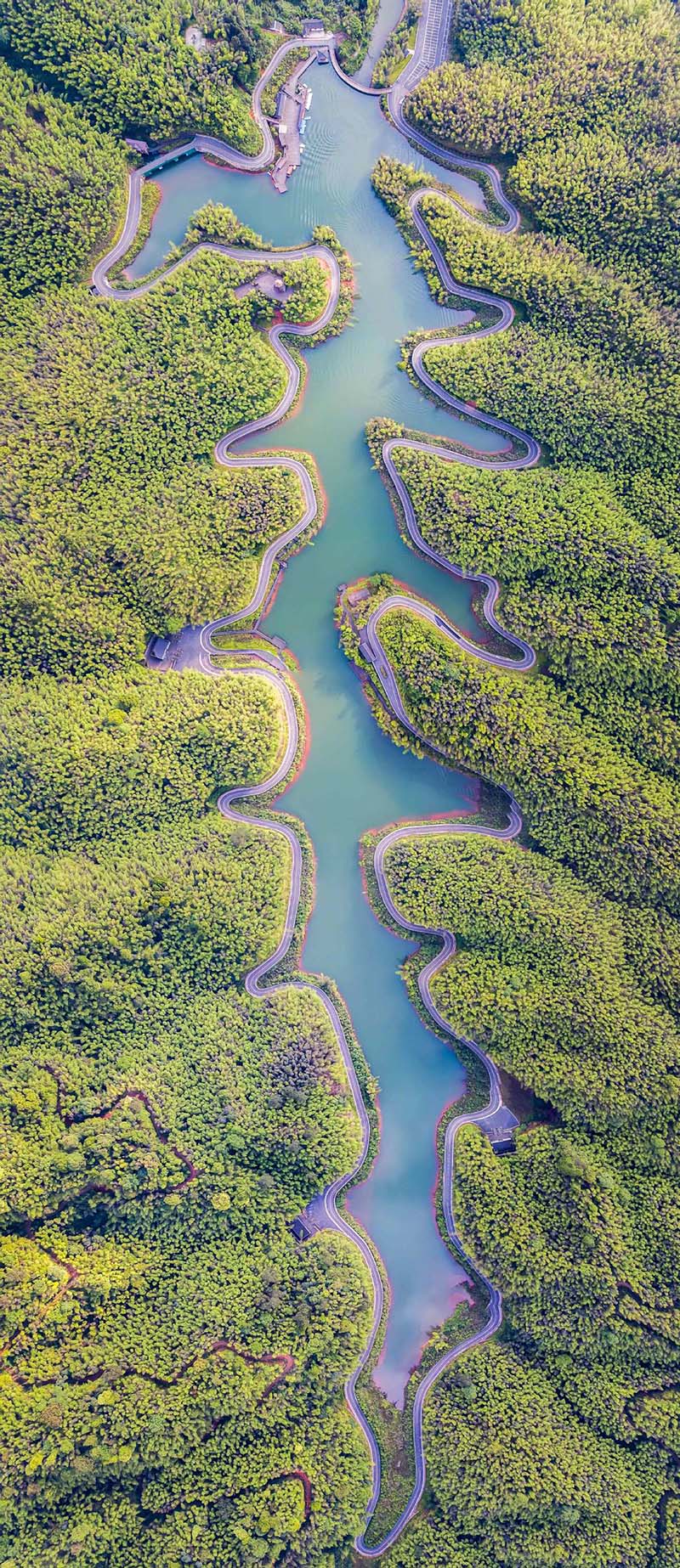 Bamboo Sea National Forest Park cuenta con lagos verdes, cascadas, bosques, arroyos, formación de tierras Danxia y cientos de millones de plantas de bambú. [Foto: Wang Zhongshu/ chinadaily.com.cn]
