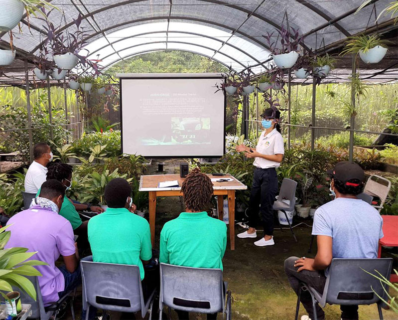 Expertos chinos enseñan conocimientos agrícolas modernos a jóvenes de la República Dominicana bajo una enramada florecida (Foto: cortesía del Grupo de Expertos Agrícolas de la Ayuda China a la República Dominicana)