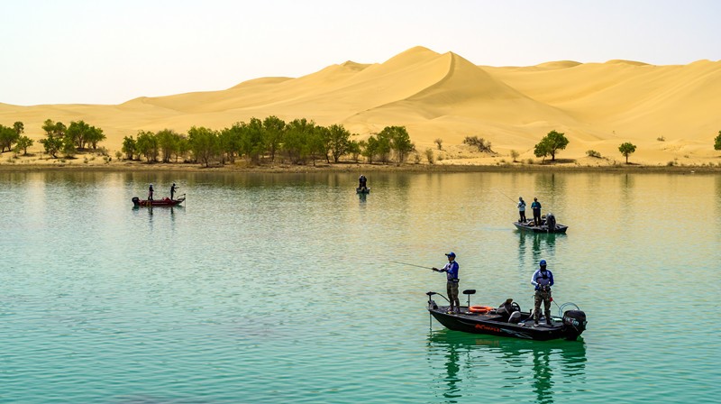 Turistas aprenden sobre la pesca Lu Ya (pesca tradicional con cebo) en el lago Luobu, condado Yuli, prefectura autónoma mongola de Bayingoleng, en la región autónoma Uygur de Xinjiang, noroeste de China, el 1 de mayo de 2021 (Li Fei / Pueblo en Línea)