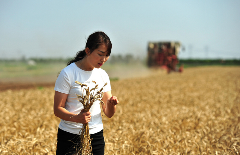 Zhang revisa trigo en la granja familiar, 22 de junio de 2021. [Foto/Xinhua]