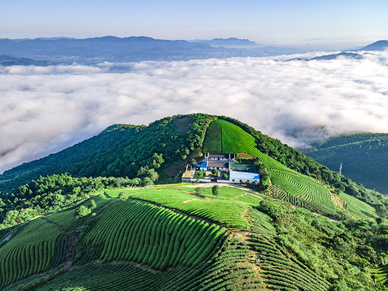 Montaña Wangfulou rodeada por un mar de nubes
