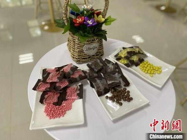 Nuevos productos de chocolate desarrollados por la Academia de Ciencias Agrícolas Tropicales de China. (Foto: Chinanews.com)