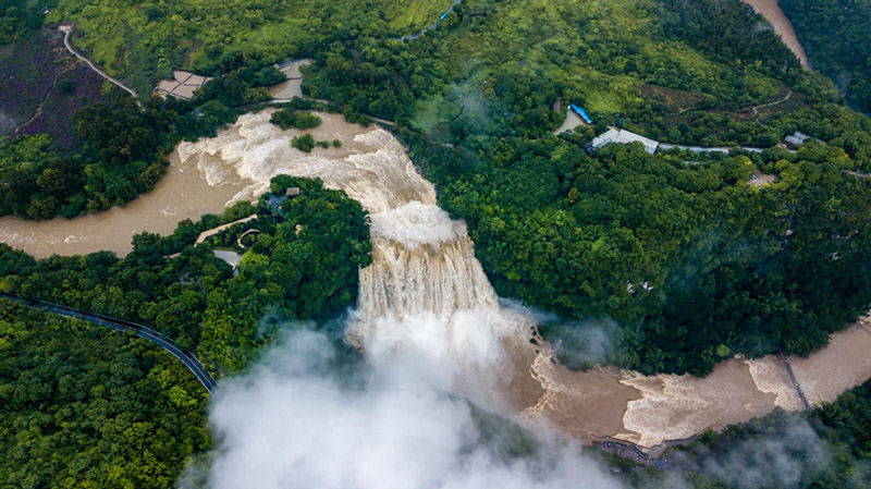 La cascada Huangguoshu ha entrado en su temporada de alto caudal debido a las fuertes lluvias. [Foto de Chen Xi / proporcionada a chinadaily.com.cn]