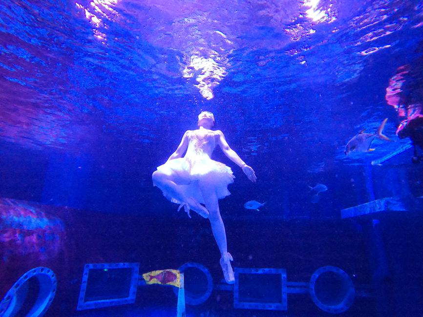Una bailarina hace ballet submarino en el parque polar de Harbin, provincia de Heilongjiang. [Foto proporcionada a chinadaily.com.cn]
