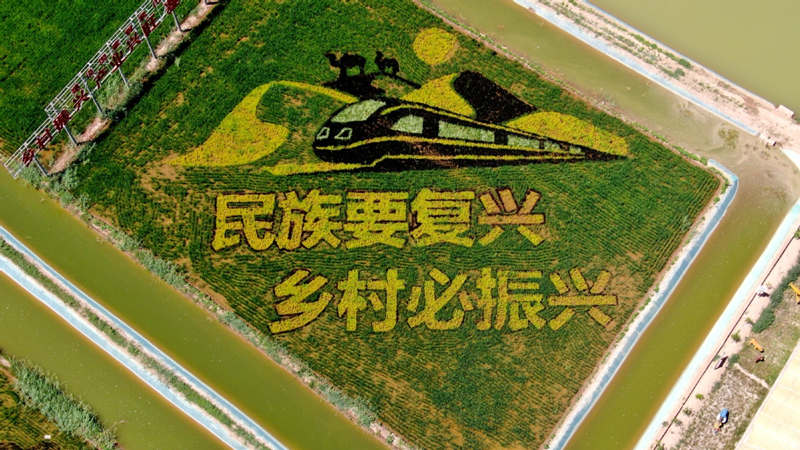 Vista aérea de los arrozales de Helan, Región Autónoma de Ningxia Hui. [Foto: Hai Kun/China Daily]
