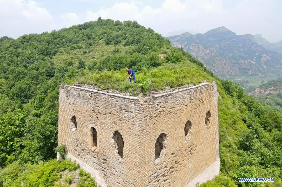 Zhang Heshan disfruta del paisaje desde la Gran Muralla de Zhengguanling en Qinhuangdao, provincia de Hebei, 7 de julio del 2021. (Foto: Xinhua/ Jin Haoyuan)