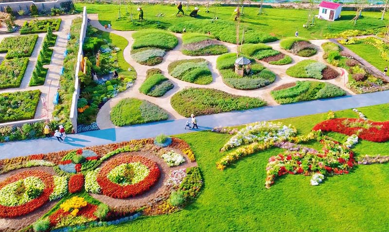 El Jardín Jinan Huazhao, inspirado en el libro “Alicia en el país de las maravillas”, se ha convertido en una atracción turística muy popular en el distrito Licheng de Jinan, provincia de Shandong. [Foto: proporcionada a China Daily]