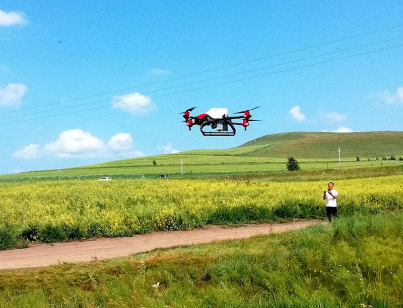 Drones que se utilizan para aplicar pesticidas y fertilizantes a los cultivos en Hulunbuir, región autónoma de Mongolia Interior, 20 de julio del 2021. [Foto: Lyu Haojun y Wang Min/ China Daily]