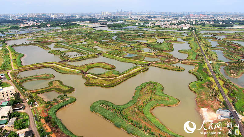 Pequeñas islas dispersas alrededor del humedal del río Maiya en el nuevo distrito Jiangdong de Haikou, provincia de Hainan. (Foto: Pueblo en Línea/ Niu Liangyu)