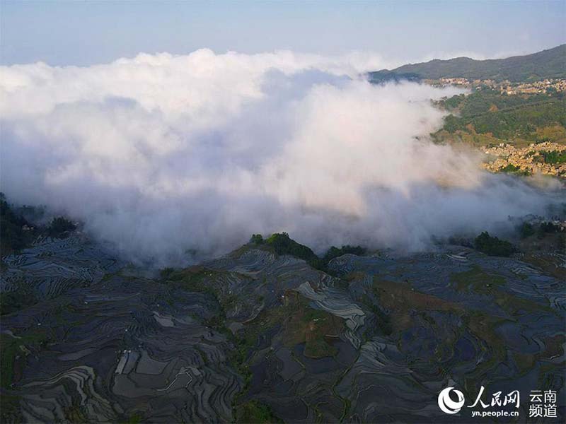 La foto muestra los campos en terrazas Hani en la montaña Wuzhishan, el condado Yuanyang de la prefectura autónoma Yi y Hani de Honghe, en la provincia de Yunnan, en el suroeste de China. (Foto / Luo Jianguo)