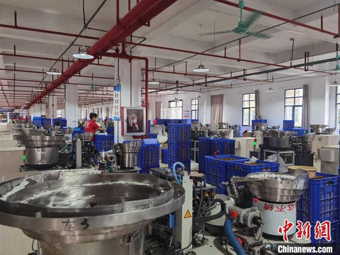 Las plumas de ganso ayudan a extender las alas de la industria en Guizhou