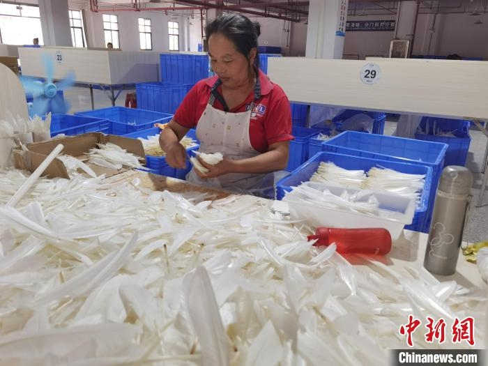 Las plumas de ganso ayudan a extender las alas de la industria en Guizhou