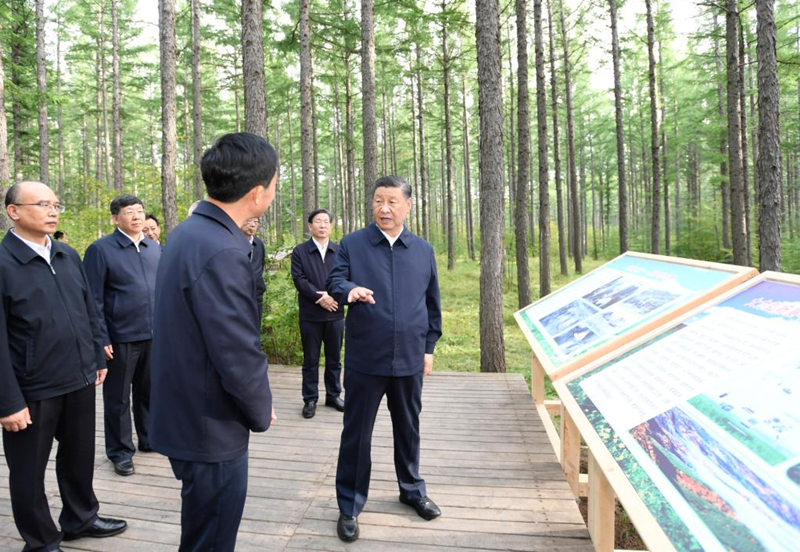 Xi enfatiza desarrollar la economía verde y fomentar progreso ecológico