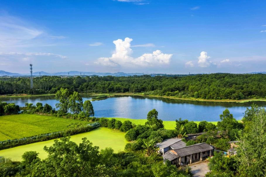 Aldea Lianghekou, provincia de Hunan, 22 de julio del 2021. (Foto: Zhou Fan/ Pueblo en Línea)