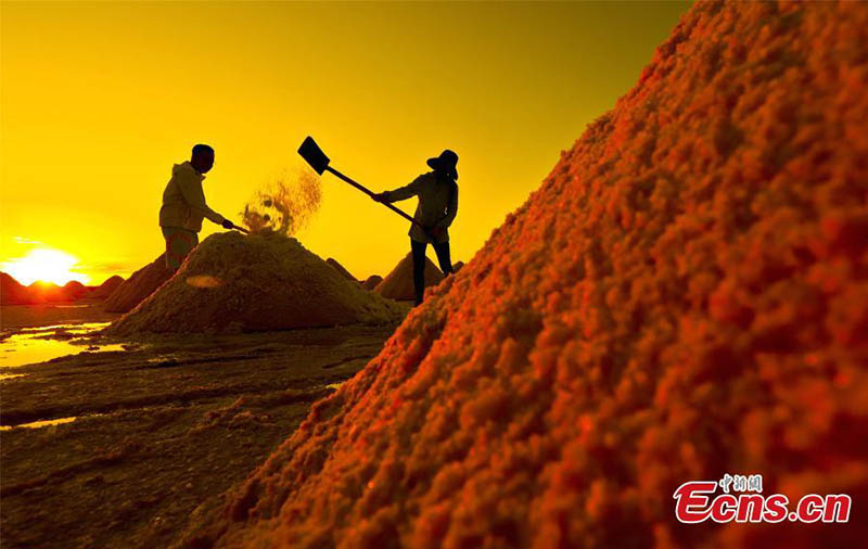 En fotos: un vistazo a las salinas de Gansu
