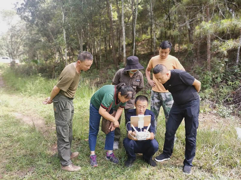 Los expertos verifican la construcción del área que proporciona fuentes de alimento para elefantes asiáticos ubicada en la ciudad de Jinghong, provincia de Yunnan, en el suroeste de China. (Foto del Centro de Convergencia de Medios de la Ciudad de Jinghong)