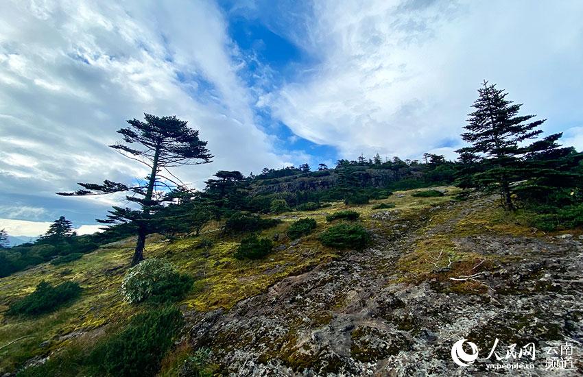 La foto muestra el paisaje de la Reserva Natural Nacional de Jiaozishan en la provincia de Yunnan, en el suroeste de China. (Foto / Jia Xiang)