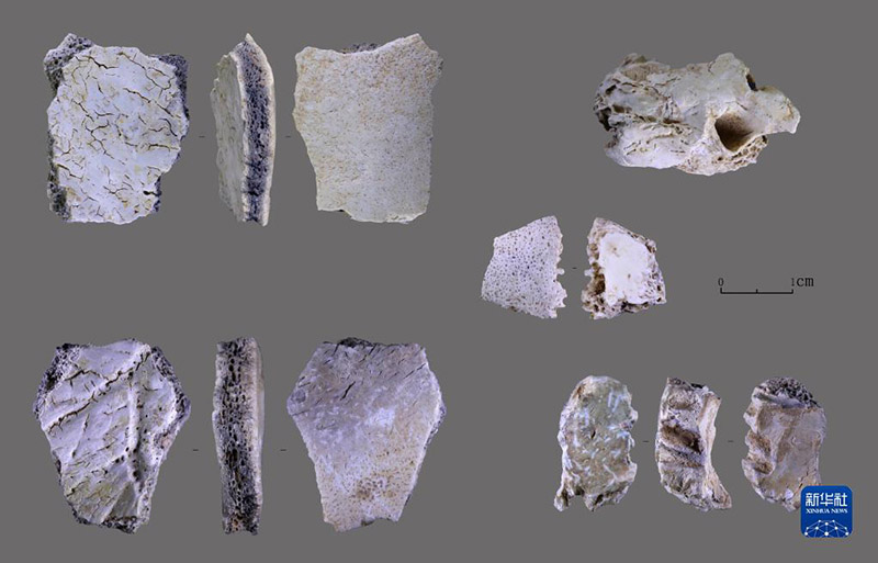 Hallan fósil de cráneo humano de 32.000 años en provincia china de Henan