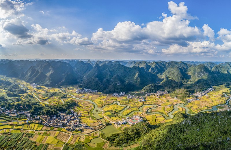 El 4 de octubre de 2021, el campo de arroz en la aldea de Pingjiang en Ludong, ciudad de Jingxi en Baise, región autónoma Zhuang de Guangxi. Peng Huan / Pueblo en Línea
