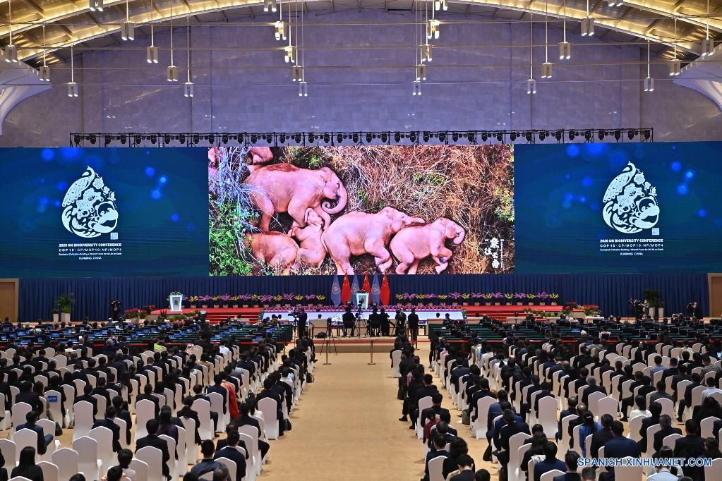(COP15) COP15 se inaugura en China con la civilización ecológica como centro de atención