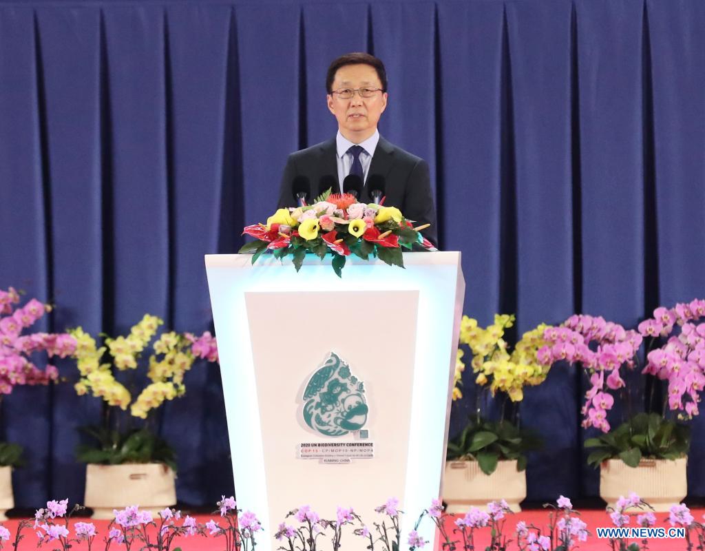 (COP15) Viceprimer ministro chino pide actuar para construir comunidad para toda la vida en la Tierra