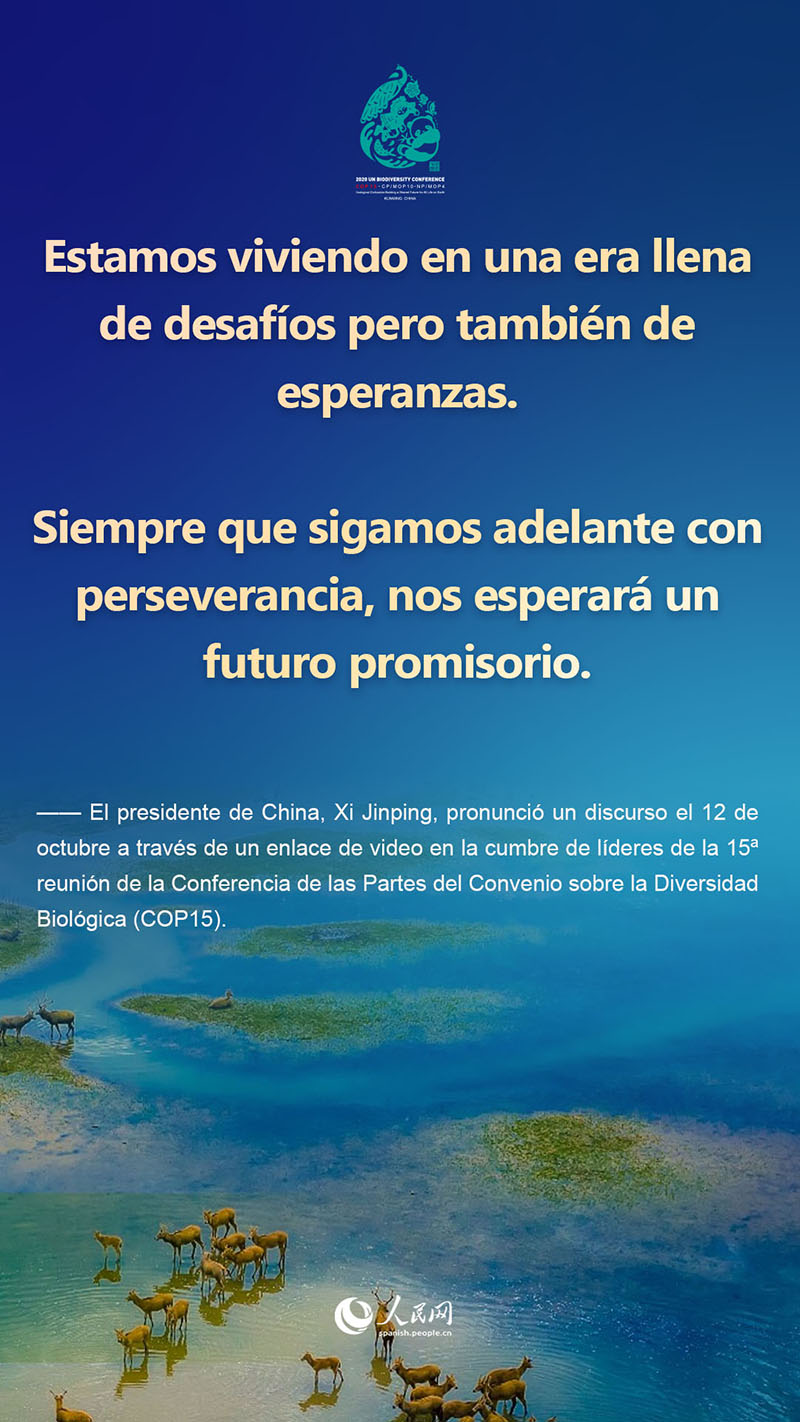 Lo más destacado del discurso del presidente Xi Jinping en la cumbre de líderes de la COP15