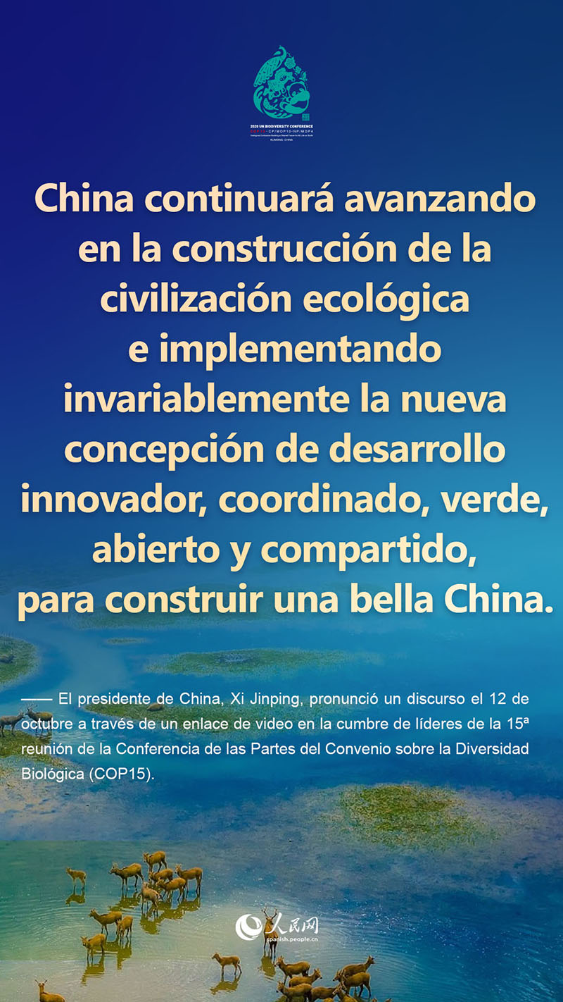 Lo más destacado del discurso del presidente Xi Jinping en la cumbre de líderes de la COP15