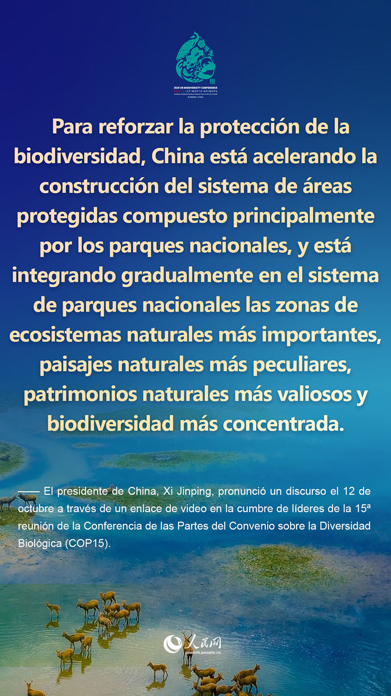 Lo más destacado del discurso del presidente Xi Jinping en la cumbre de líderes de la COP15