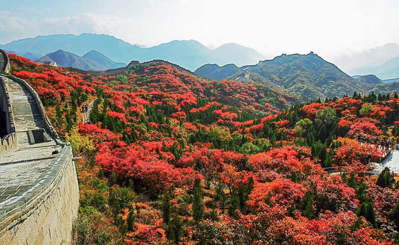 Beijing ofrece su caleidoscopio de colores otoñales 