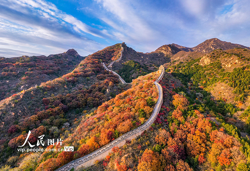 Beijing: las montañas de la Gran Muralla de Badaling se vuelven rojas