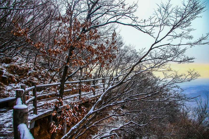 El lugar escénico de la montaña Yuntai en Jiaozuo, provincia de Henan, en el centro de China, quedó cubierto por la primera nevada de la temporada, ofreciendo una magnífica estampa similar a una pintura de paisaje. (Foto / Wu Peimeng)