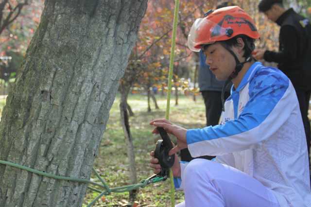 La escalada de árboles conquista cumbres en Hubei