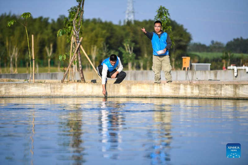 China construye un proyecto hidroeléctrico en un área de hábitat de peces en Guangxi