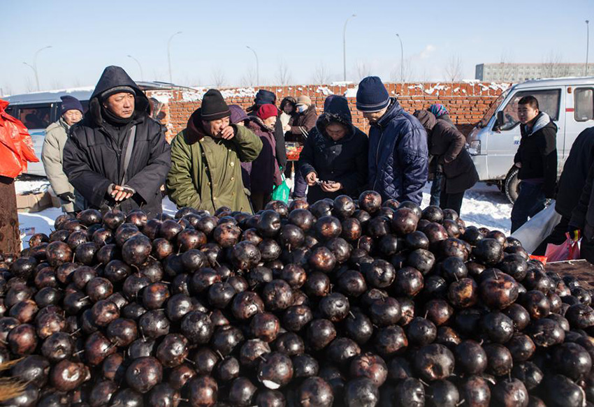 Los residentes compran peras congeladas en un mercado al aire libre en la provincia de Jilin. [Foto : Baishi/ Chinadaily.com.cn]