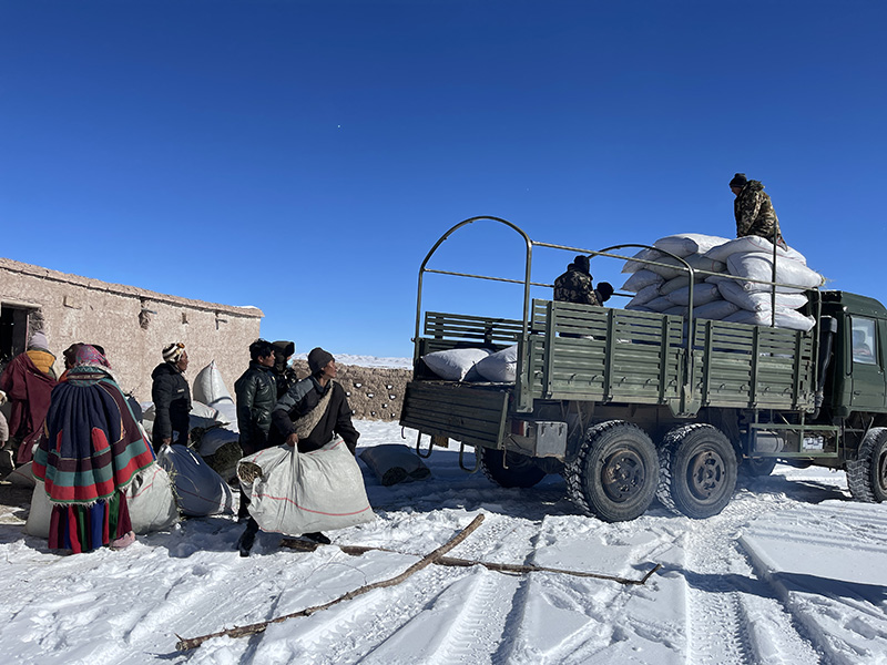 Oficiales de patrulla ambiental y pastores tibetanos cargan un camión con alimento para antílopes tibetanos recientemente en el condado Gerze, región autónoma del Tíbet. [Foto proporcionada a Chinadaily.com.cn]
