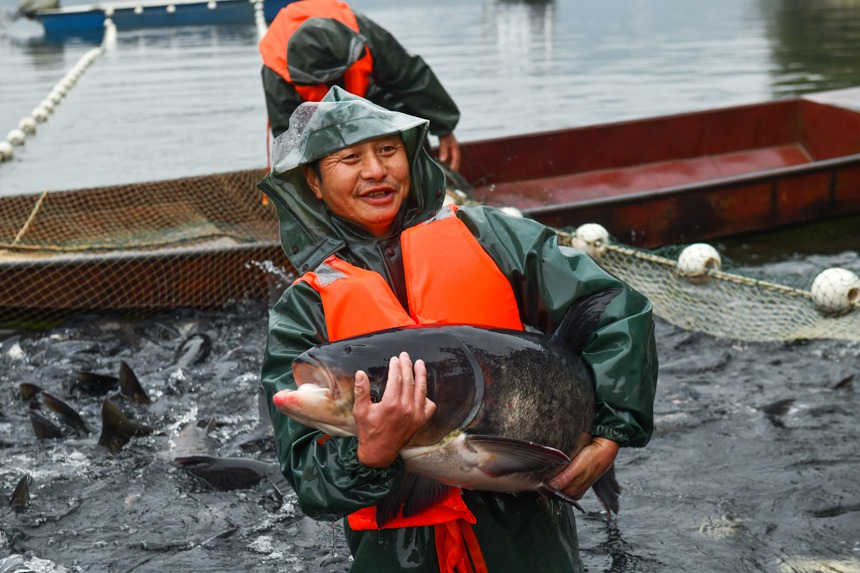 Comienza la pesca de invierno en un embalse ecológico de Chongqing