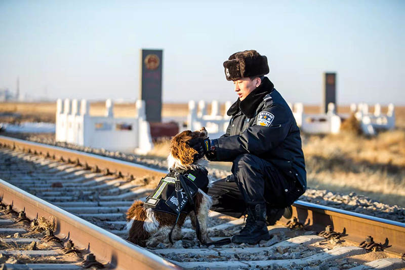 Adiós a 9 perros policía retirados en Mongolia Interior