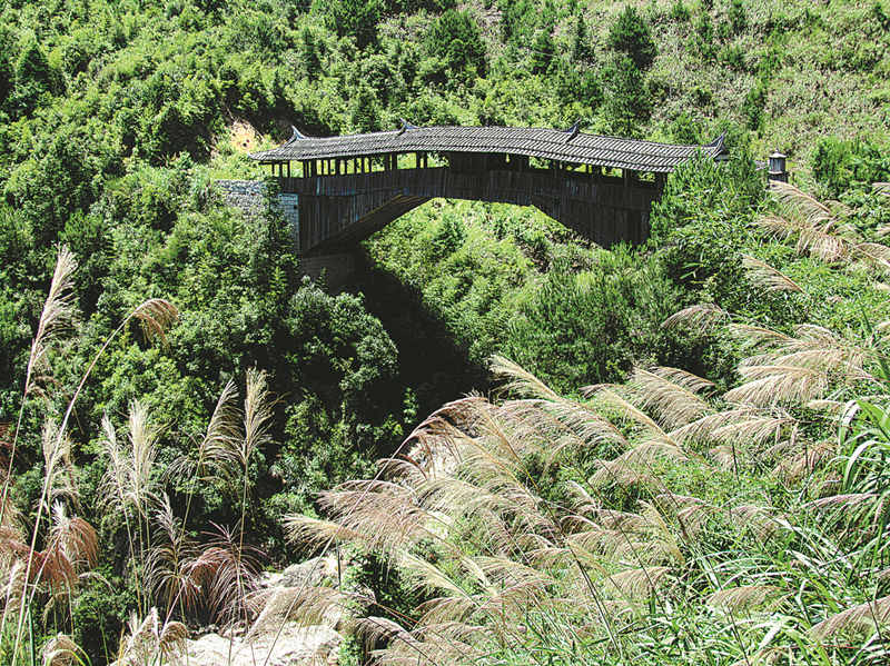 Un tradicional puente de arco de madera atraviesa un valle en la ciudad de Ningde, provincia de Fujian. [Foto proporcionada a China Daily]