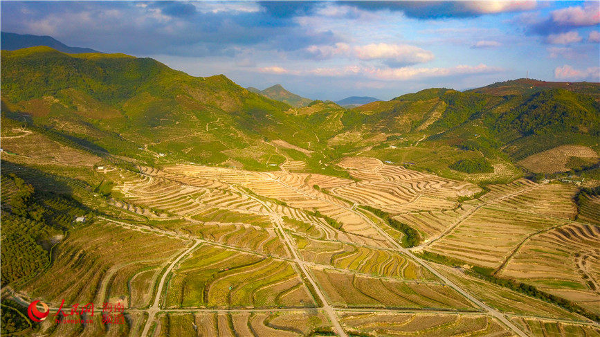 Vista aérea de la Base Nacional para el Mejoramiento de Semillas, ubicada en la ciudad de Sanya, en la provincia de Hainan. (Foto: Pueblo en Línea/ Niu Liangyu)
