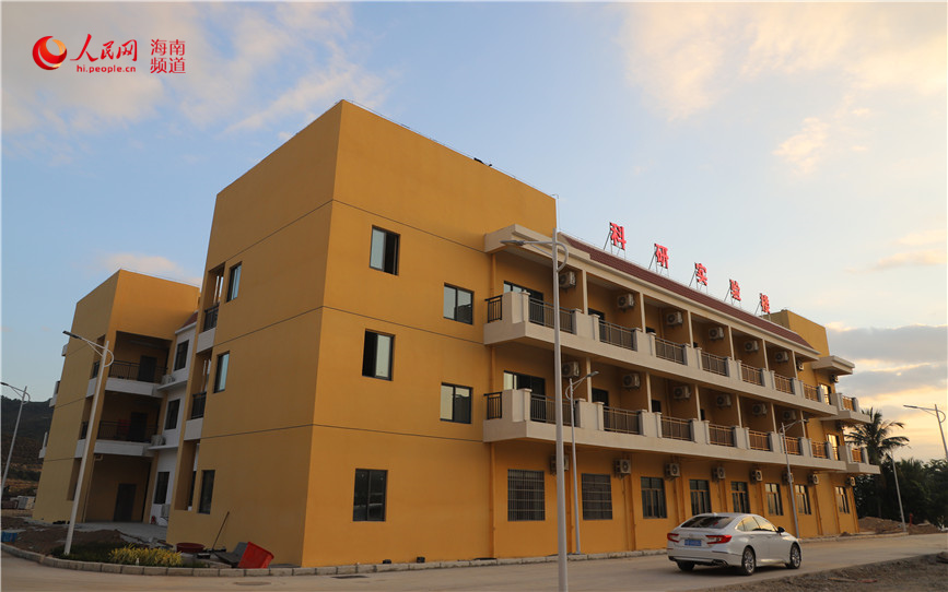 Laboratorio en la Base Nacional para el Mejoramiento de Semillas, ubicada en la ciudad de Sanya, provincia de Hainan. (Foto: Pueblo en Línea/ Niu Liangyu)