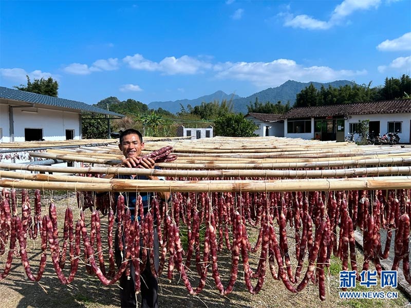 Las matrices de carne curada se ordenan en los postes de bambú. (Foto: Luo Suling)