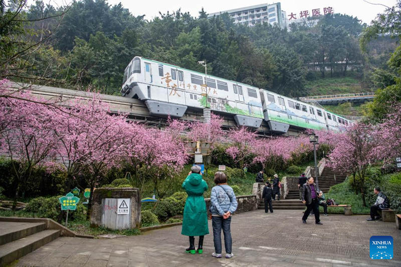 Florecen los árboles a lo largo de la famosa estación de tren Liziba de Chongqing