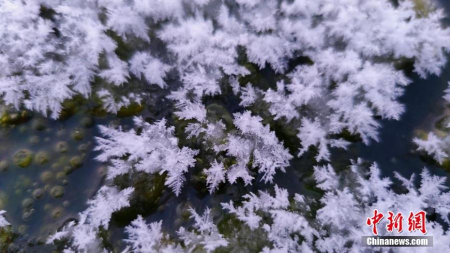 Maravilla natural: las flores de hielo 'florecen' en la zona más fría de China